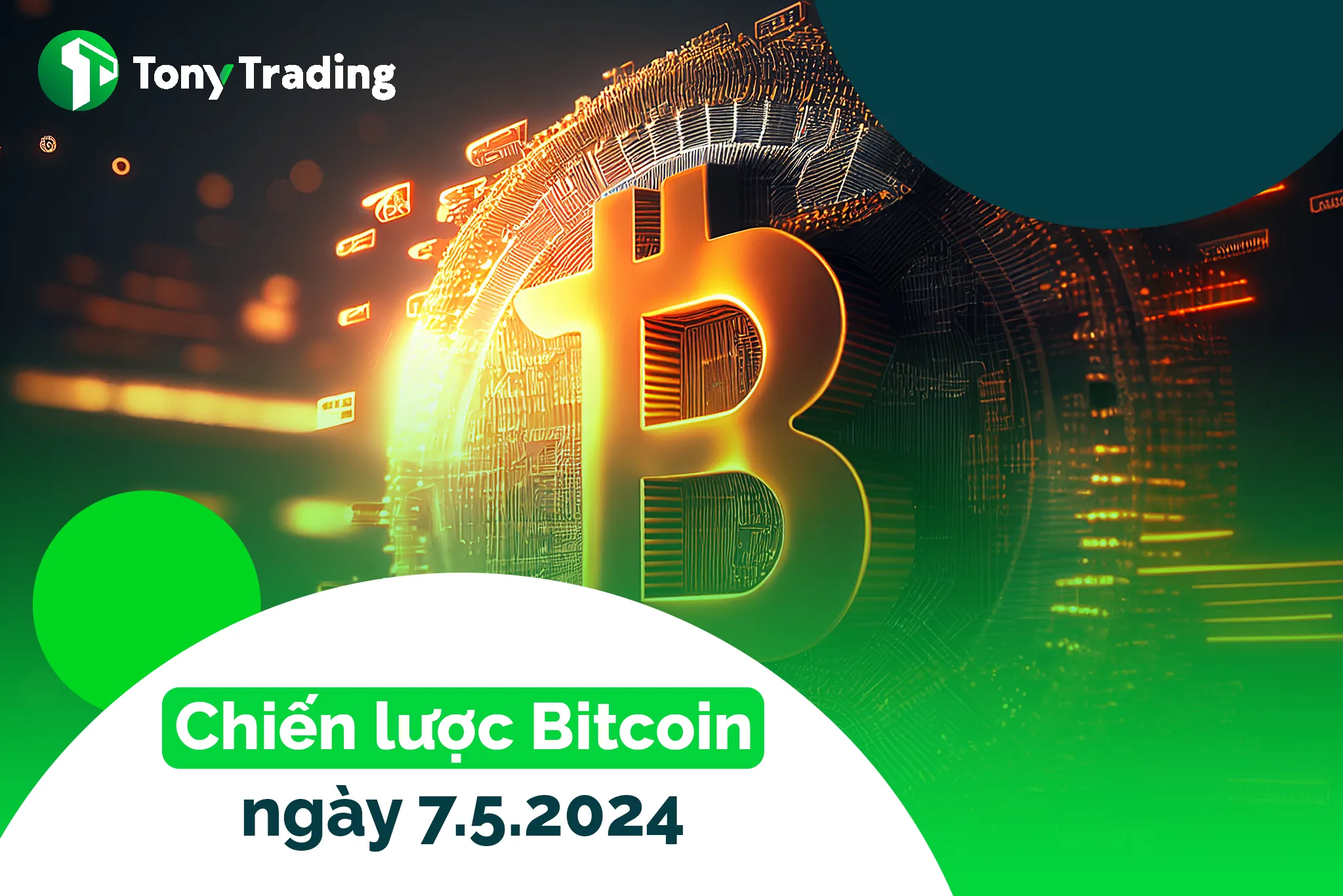 tonytrading chien luoc bitcoin ngay 752024