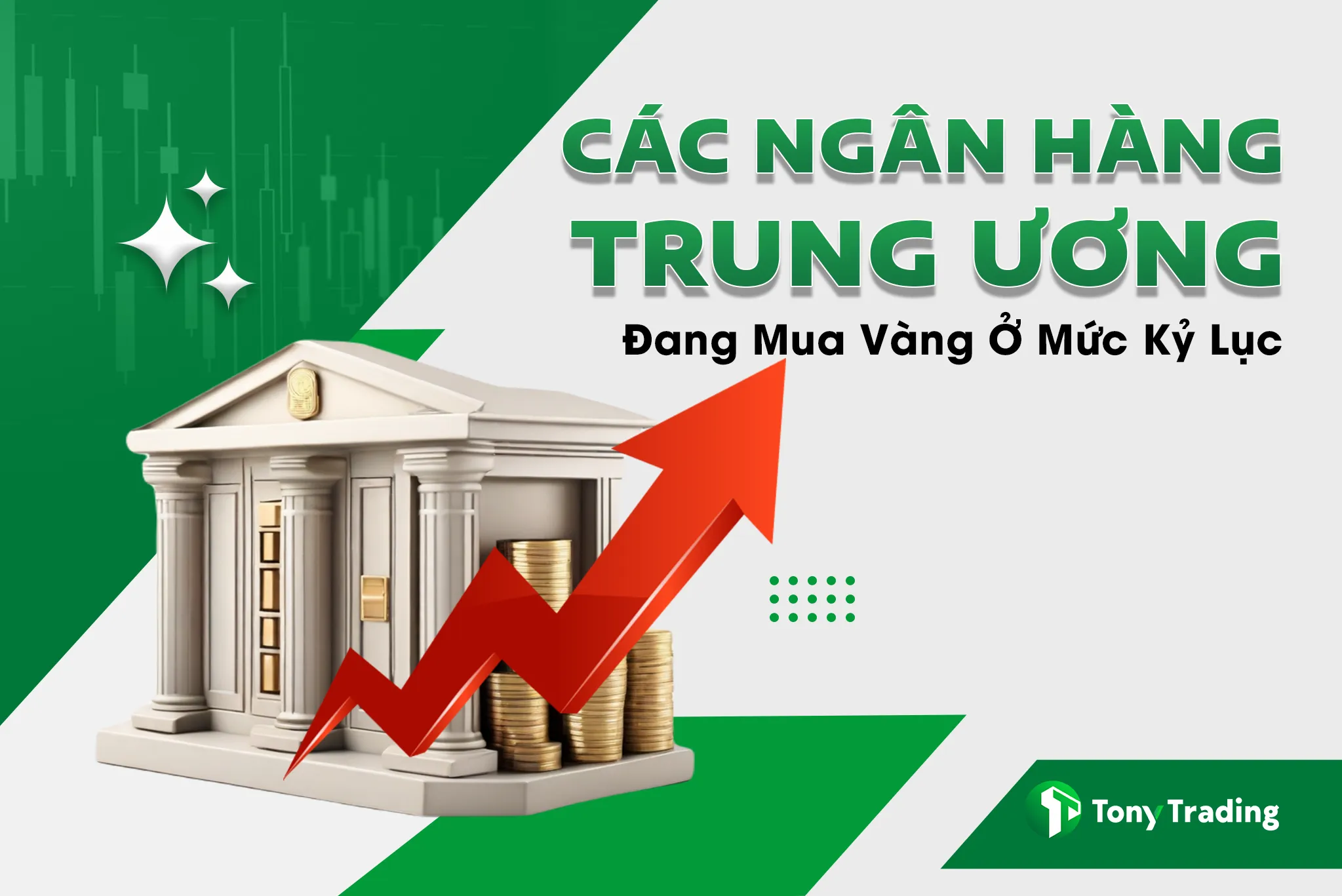 cac ngan hang trung uong dang mua vang o muc ky luc