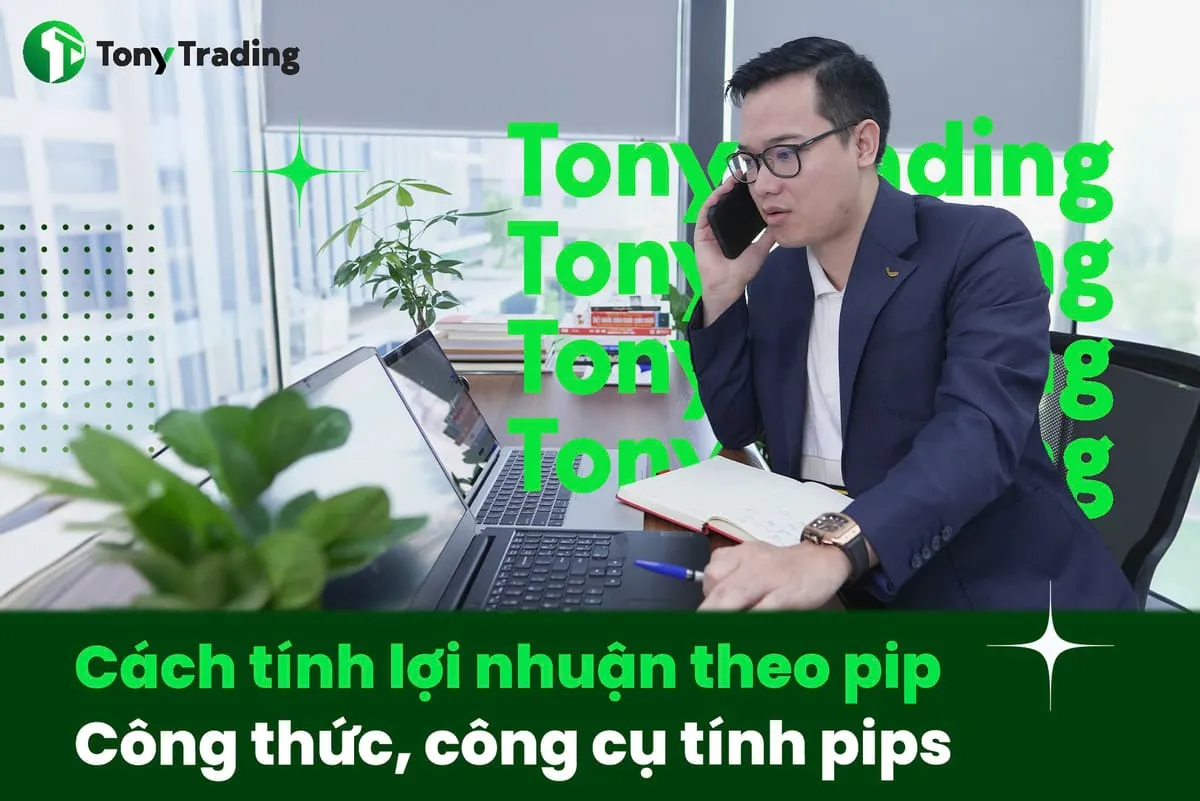 cach tinh loi nhuan theo pip cong thuc va vi du thuc te